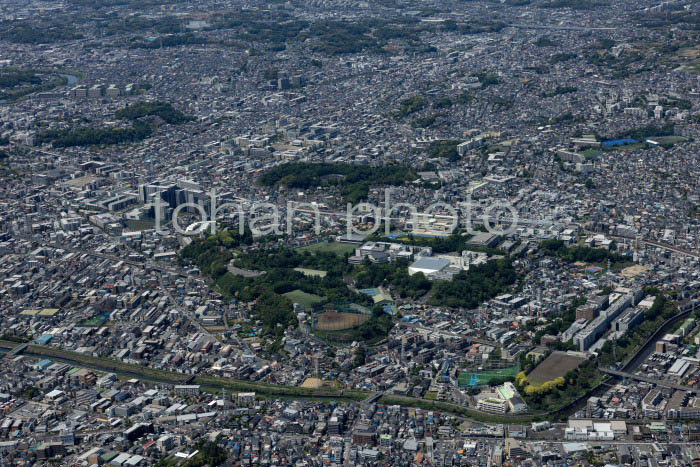 日吉駅周辺(202454)