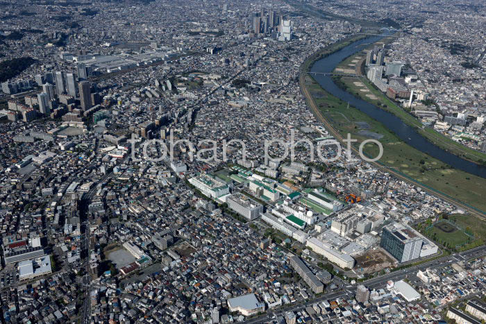 東芝小向事業所周辺より鹿島田駅,武蔵小杉駅方面(20241103)