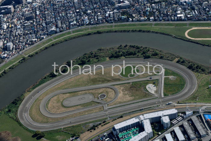 川崎競馬場練習馬場(20241103)