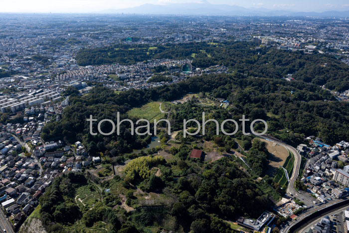 生田緑地(生田緑地ばら苑)周辺(20241103)