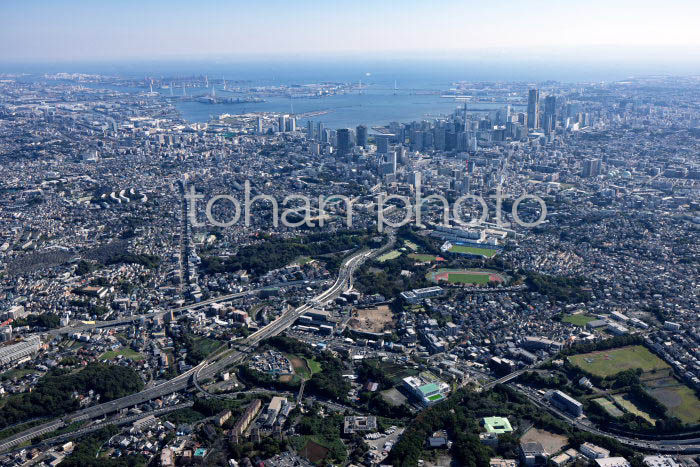 保土ヶ谷JCT,保土ヶ谷IC周辺より横浜の街並み(20241103)
