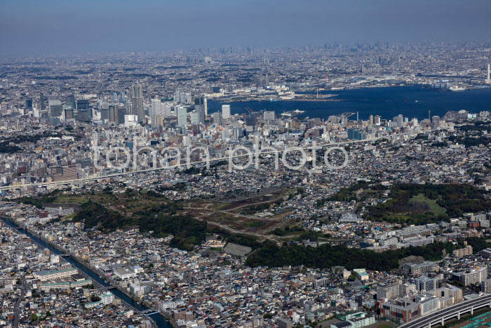 根岸森林公園,根岸住宅地区より横浜港(20241103)