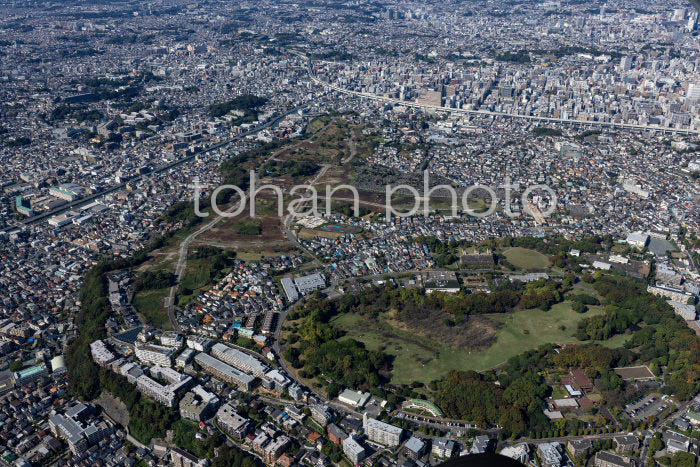 根岸森林公園,根岸住宅地区周辺(20241103)
