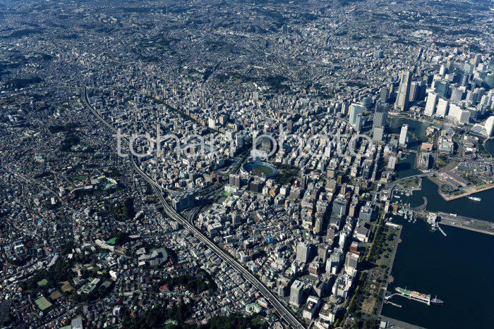 横浜石川町周辺より横浜の街並み(吉田新田跡)周辺(20241103)