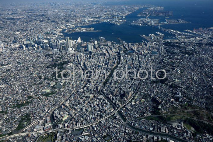 吉野町,坂東橋の街並み(吉田新田跡)より横浜港方面(20241103)