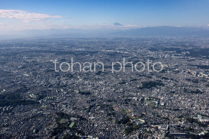 岡村町,上大岡駅,弘明寺駅周辺より横浜の街並みより富士山(20241103)