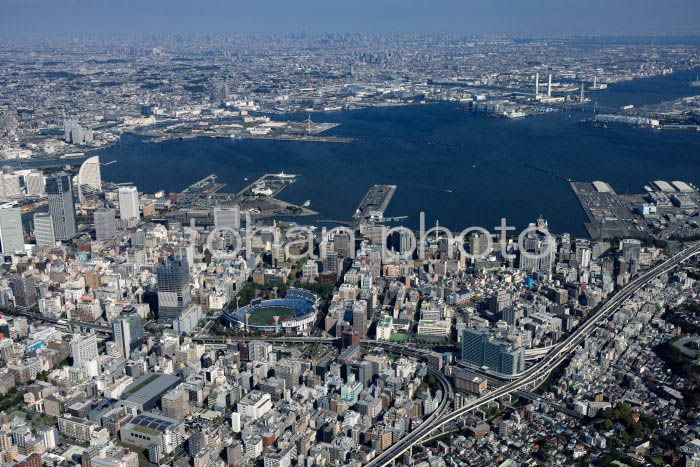 石川町(元町,中華街)周辺より関内,横浜港方面(20241103)