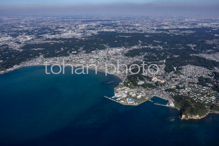 逗子マリーナ周辺より鎌倉の海岸と市街地(20241103)