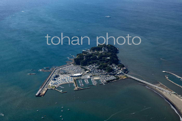 江の島周辺(20241103)
