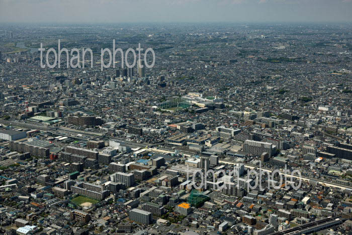 市川田尻町周辺より市川駅方面の街並み