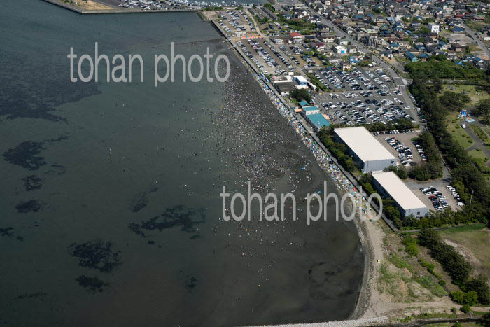 春のゴールデンウイークで賑わう富津海岸潮干狩り場