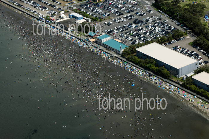 春のゴールデンウイークで賑わう富津海岸潮干狩り場