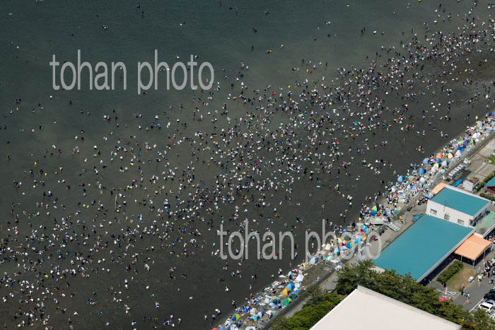 春のゴールデンウイークで賑わう富津海岸潮干狩り場