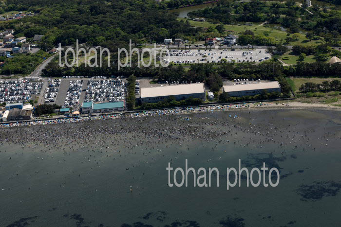 春のゴールデンウイークで賑わう富津海岸潮干狩り場