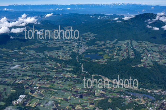 嬬恋村の高原野菜畑群(大前地区より田代地区方面)