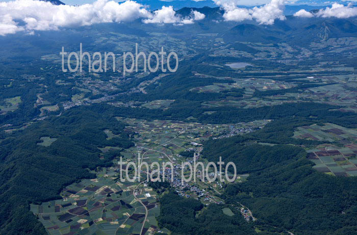 嬬恋村の高原野菜畑群(大前地区より田代地区方面)