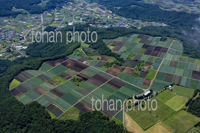 嬬恋村の高原野菜畑群(干俣地区)