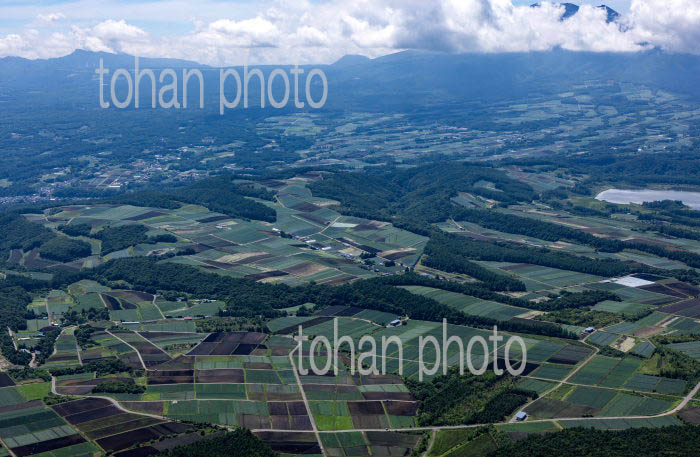 嬬恋村の高原野菜畑群(干俣地区より浅間山方面)