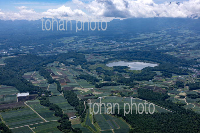 嬬恋村の高原野菜畑群(干俣地区より浅間山方面)