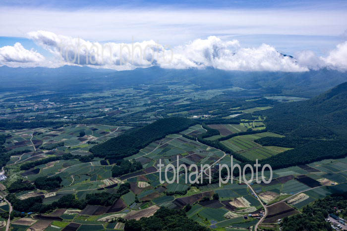 嬬恋村の高原野菜畑群(田代地区周辺より浅間山方面)
