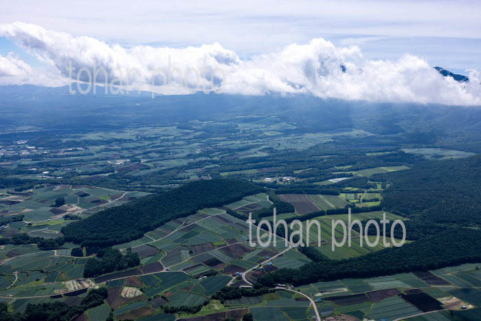 嬬恋村の高原野菜畑群(田代地区周辺より浅間山方面)