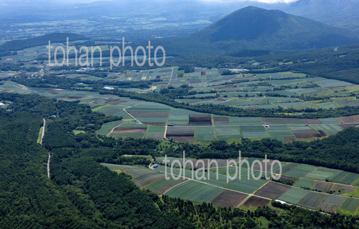 嬬恋村の高原野菜畑群(田代地区周辺より浅間山方面)