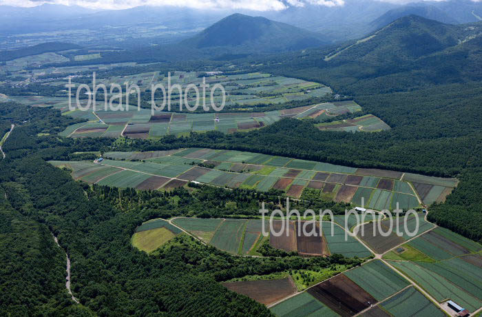 嬬恋村の高原野菜畑群(田代地区周辺より村上山,棧敷山方面)