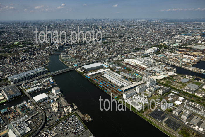 鶴見川河口周辺より上流方面