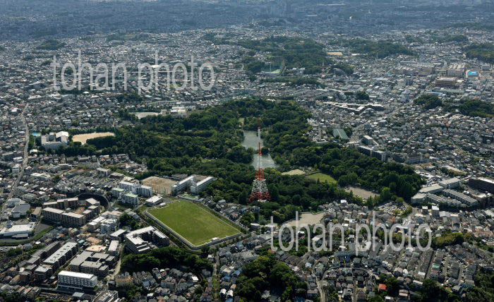 三ツ池公園周辺