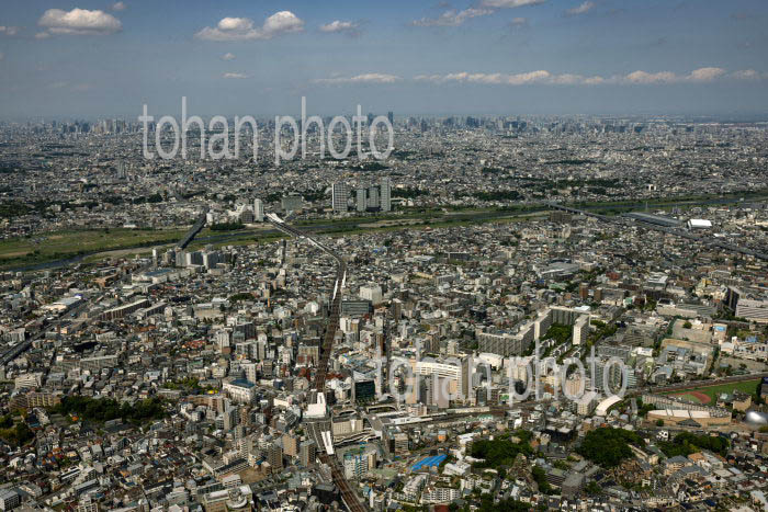 武蔵溝ノ口駅周辺より東京の街並み