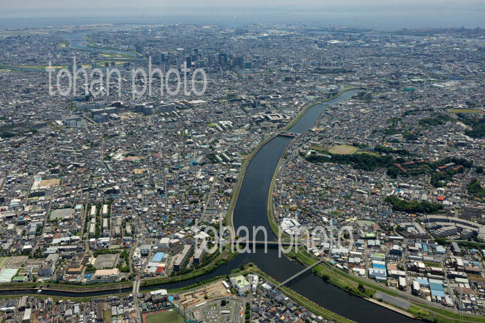 鶴見川と矢上川合流地区