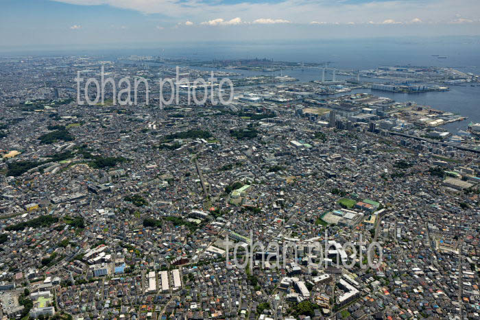 横浜の街並み(菊名,大口台周辺より新子安駅方面)