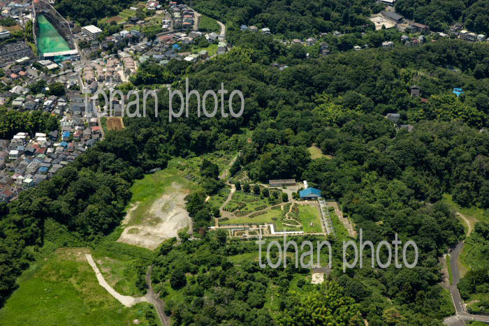 生田緑地ばら苑周辺