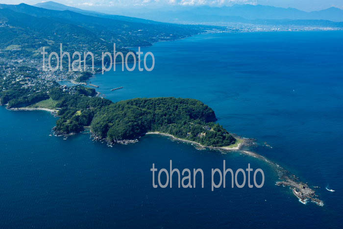 真鶴岬と相模灘