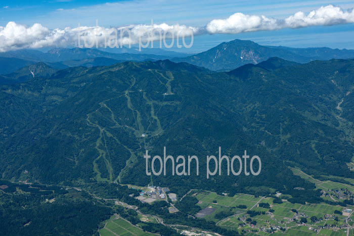 アライマウンテンリゾ－トのスキー場