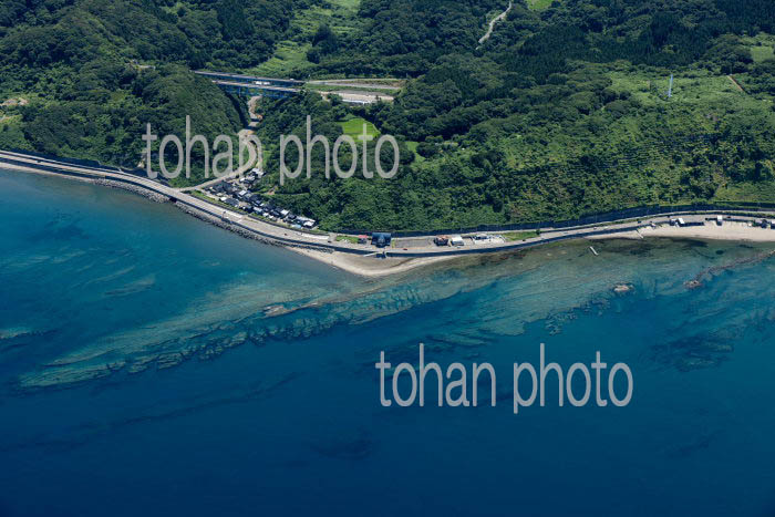 糸魚川市徳合地区の海岸線