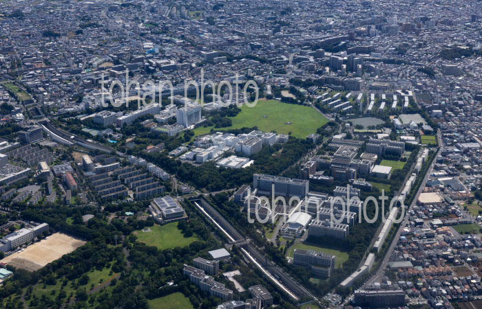 理化学研究所,税務大学校和光校舎周辺