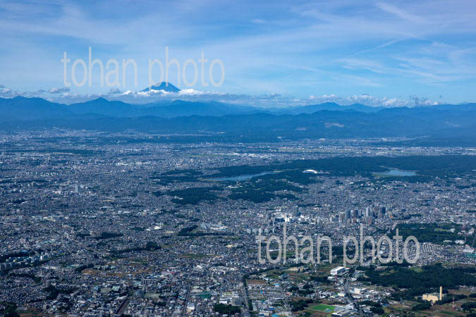 所沢周辺の街並みより富士山