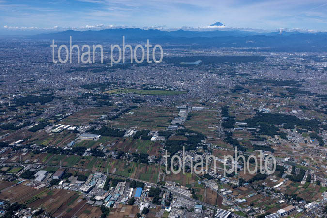 三富新田の風景と所沢の街並みと富士山
