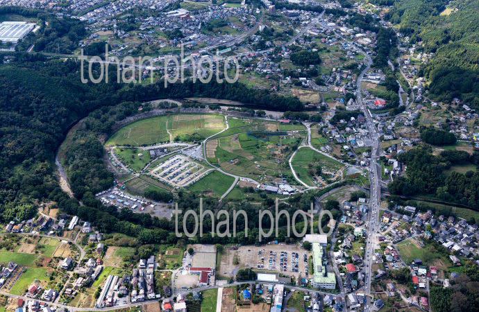 巾着田とヒガンバナ