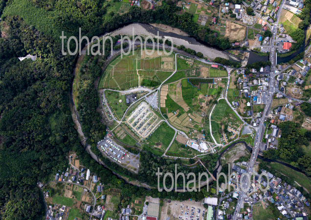 巾着田とヒガンバナ(俯瞰撮影)