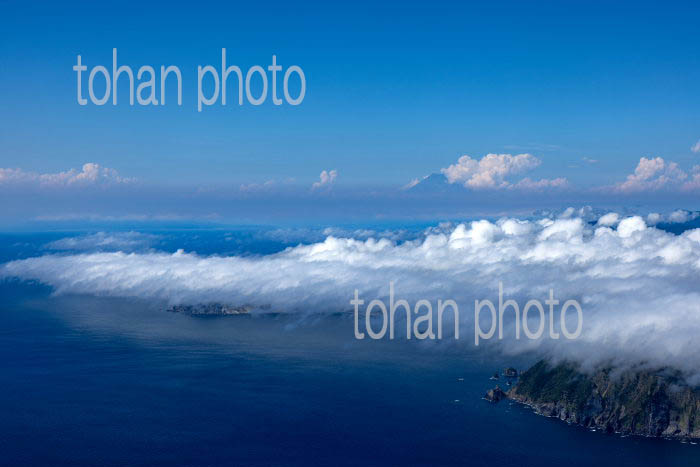 伊豆半島石廊崎地区の下層雲(海霧)と富士山