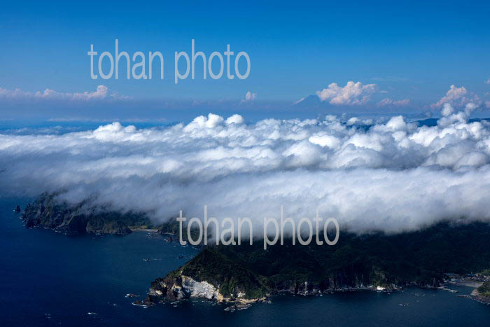 伊豆半島石廊崎地区の下層雲(海霧)と富士山