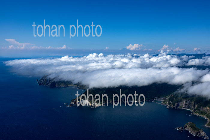 伊豆半島石廊崎地区の下層雲(海霧)と富士山