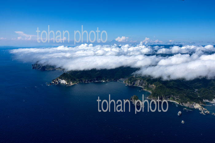 伊豆半島石廊崎地区の下層雲(海霧)と富士山