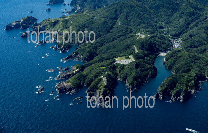 石廊崎(伊豆半島)蓑掛島,本瀬港,大瀬漁港周辺