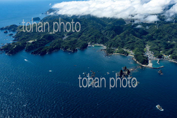 石廊崎(伊豆半島)蓑掛島,本瀬港,大瀬漁港周辺