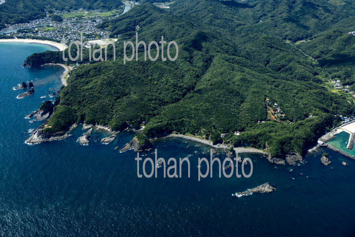 タライ岬,田牛港周辺の海岸線