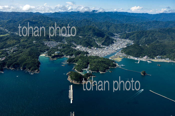 下田港と下田市の街並み