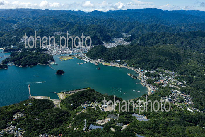 州崎地区より下田港と下田市の街並み